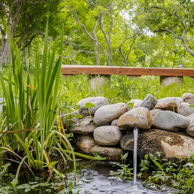 Private River Access | Pool+Hot Tub | Sleeps 24+